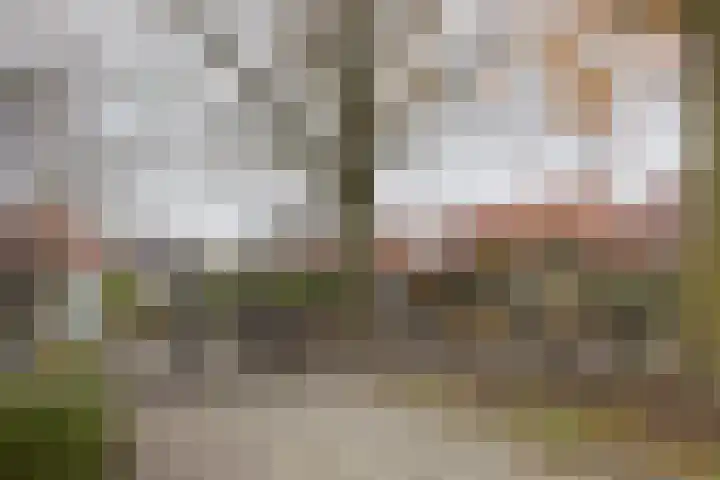 Kievit 45 Sprang-Capelle thumbnail 4