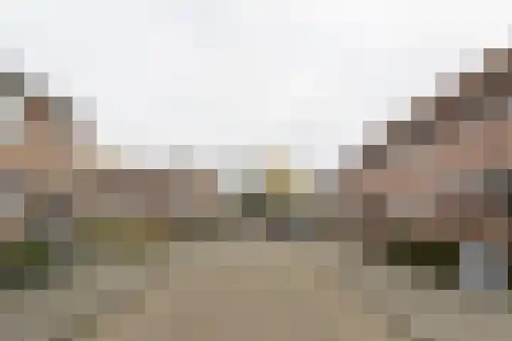 Kievit 45 Sprang-Capelle thumbnail 5