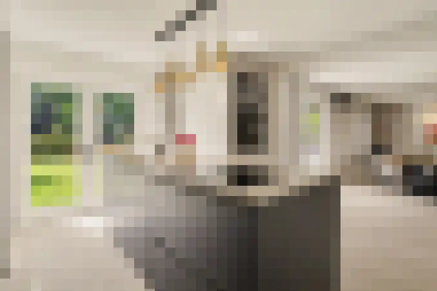 Kievit 45 Veldhoven thumbnail 25