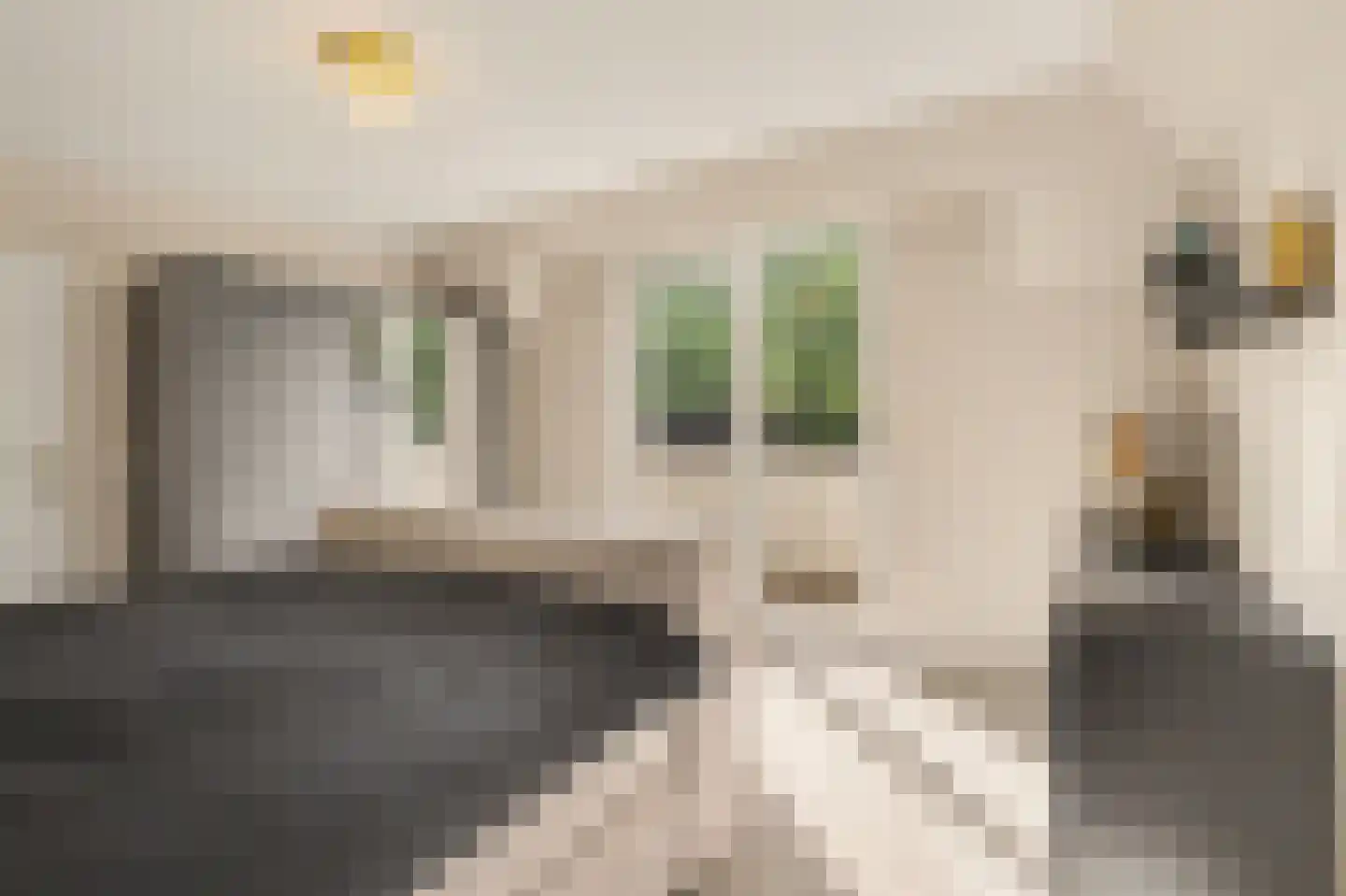 Kievit 45 Veldhoven thumbnail 37