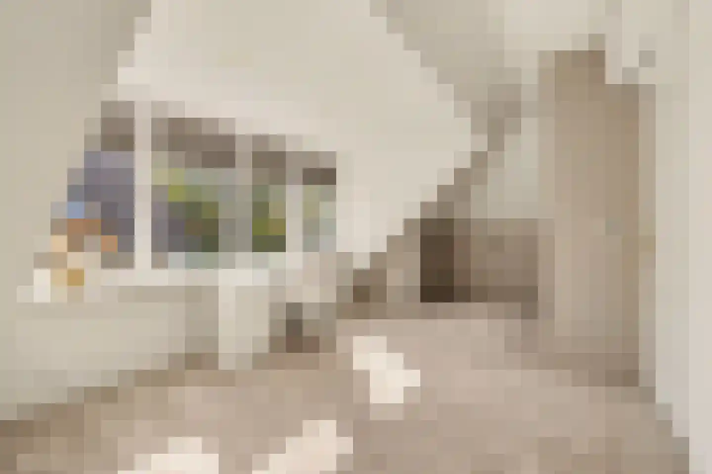 Kievit 45 Veldhoven thumbnail 40
