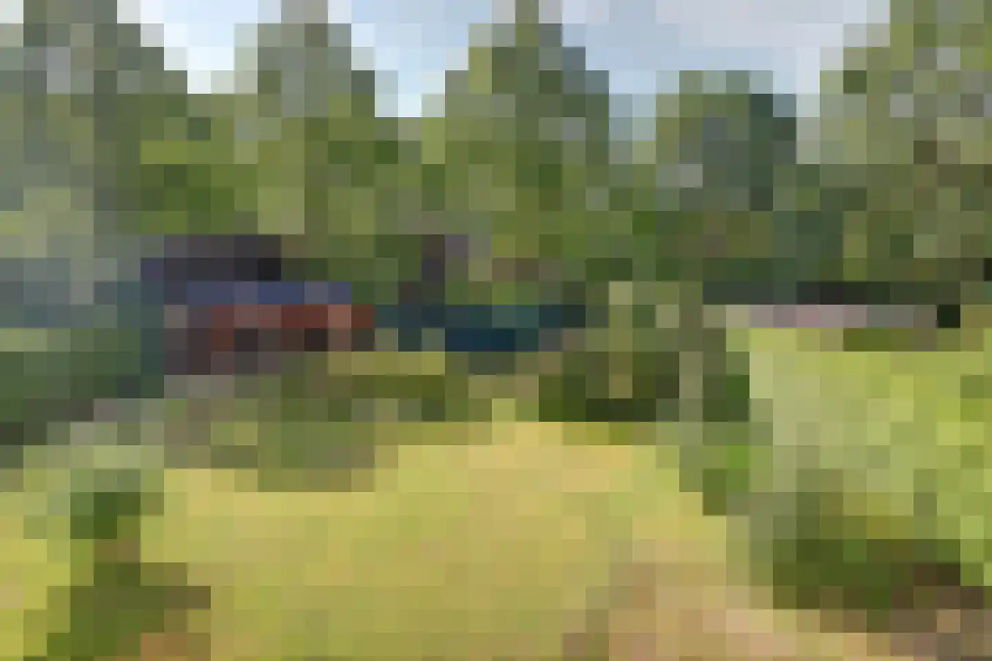 Kievit 45 Veldhoven thumbnail 51
