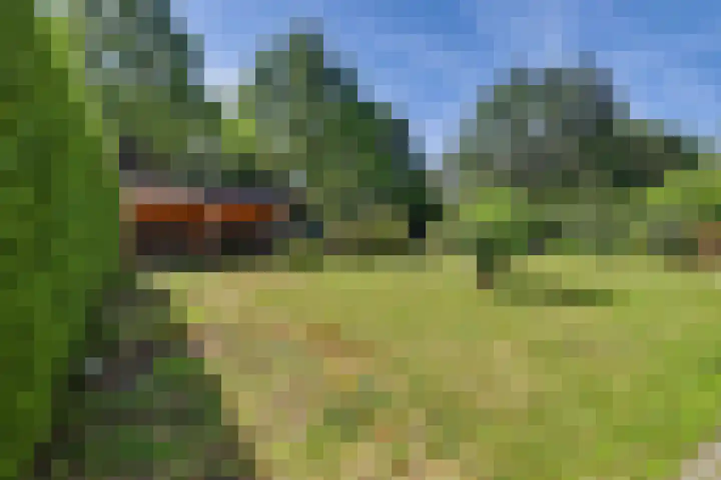 Kievit 45 Veldhoven thumbnail 53