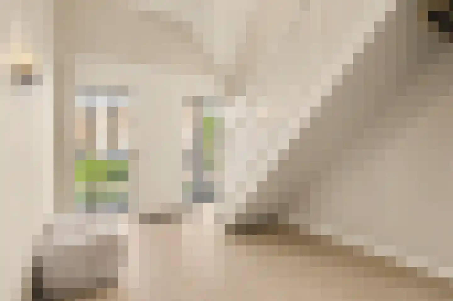 Kievit 45 Veldhoven thumbnail 8