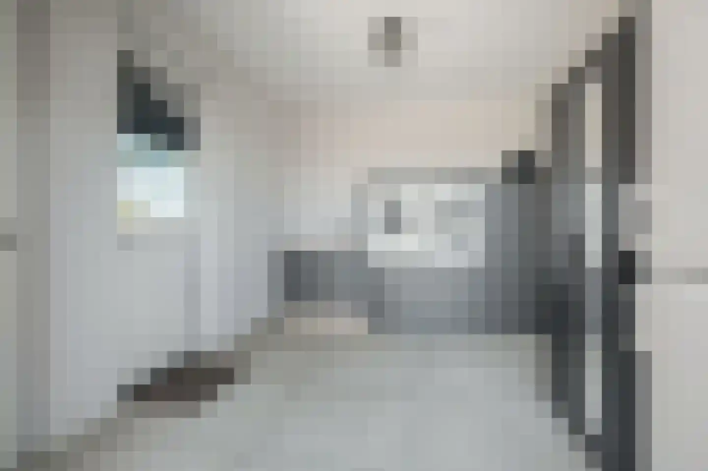 Kievit 48 Blauwestad thumbnail 35