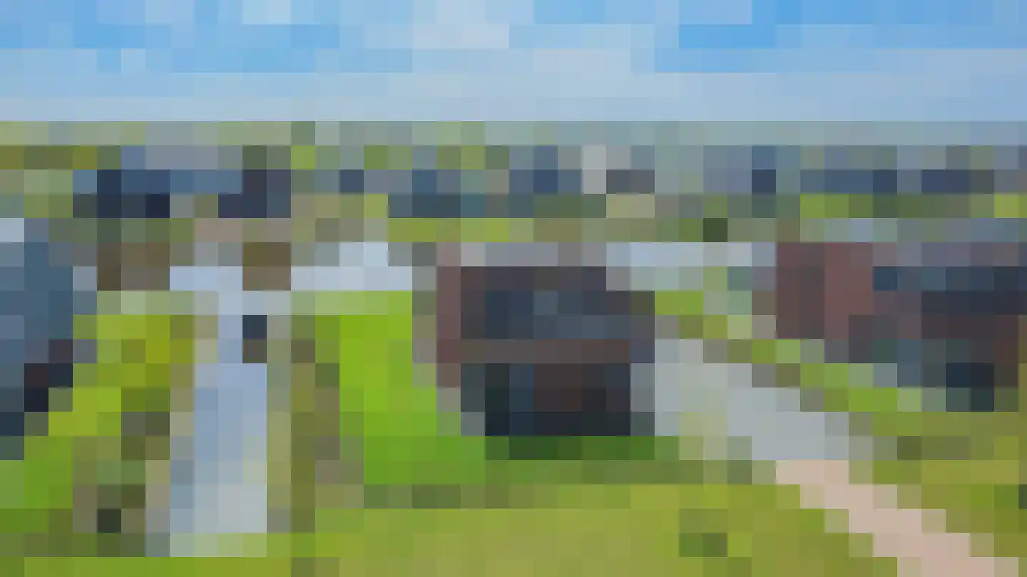 Kievit 48 Blauwestad thumbnail 4