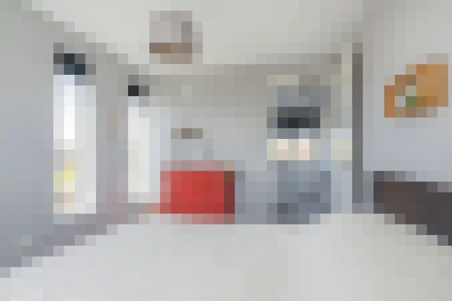 Kievit 48 Blauwestad thumbnail 42