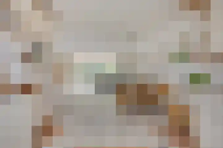 Kievit 5 Oostzaan thumbnail 10