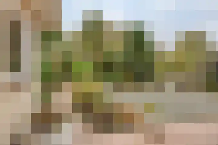Kievit 5 Oostzaan thumbnail 12