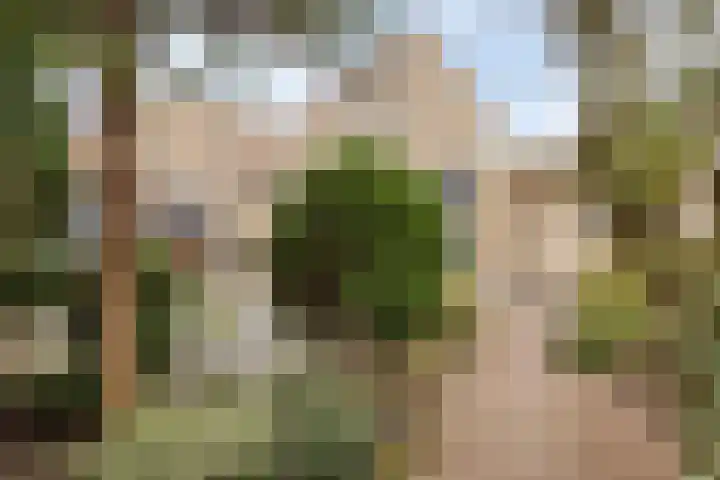 Kievit 5 Oostzaan thumbnail 13