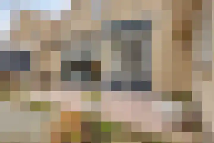 Kievit 5 Oostzaan thumbnail 14