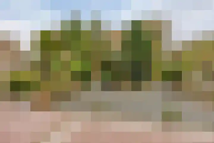 Kievit 5 Oostzaan thumbnail 15