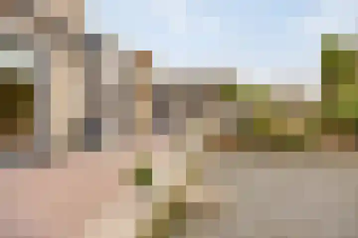 Kievit 5 Oostzaan thumbnail 18