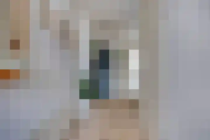 Kievit 5 Oostzaan thumbnail 21