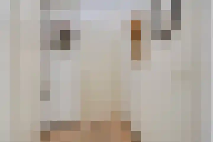 Kievit 5 Oostzaan thumbnail 27