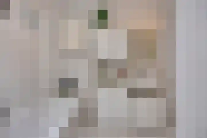 Kievit 5 Oostzaan thumbnail 29