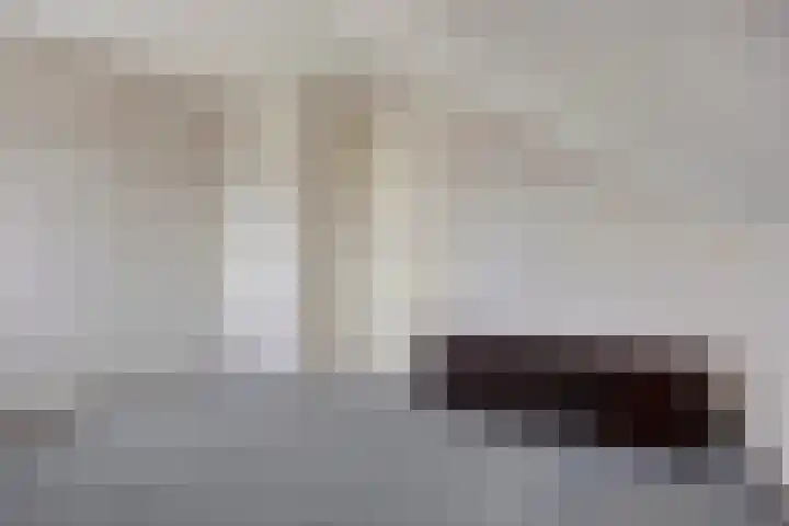 Kievit 5 Oostzaan thumbnail 39