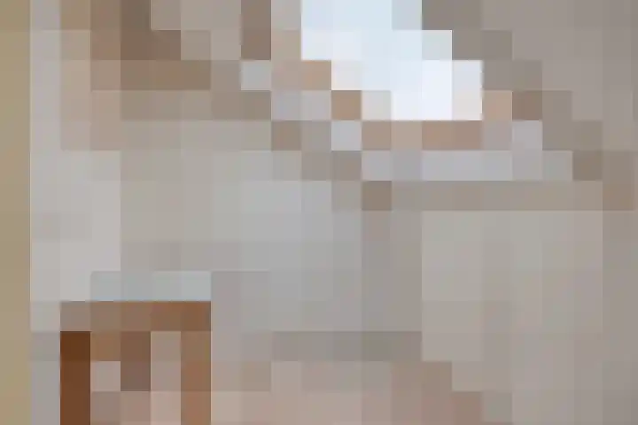 Kievit 5 Oostzaan thumbnail 41