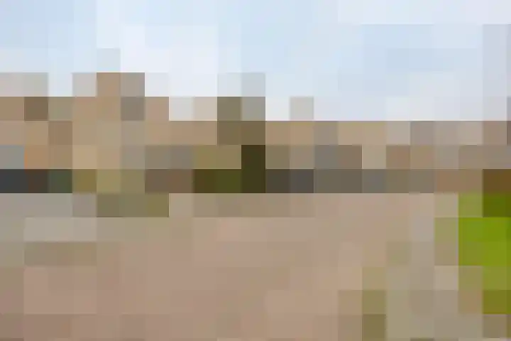 Kievit 5 Oostzaan thumbnail 42