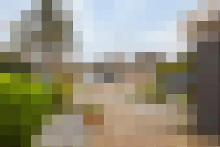 Kievit 5 Oostzaan thumbnail 48