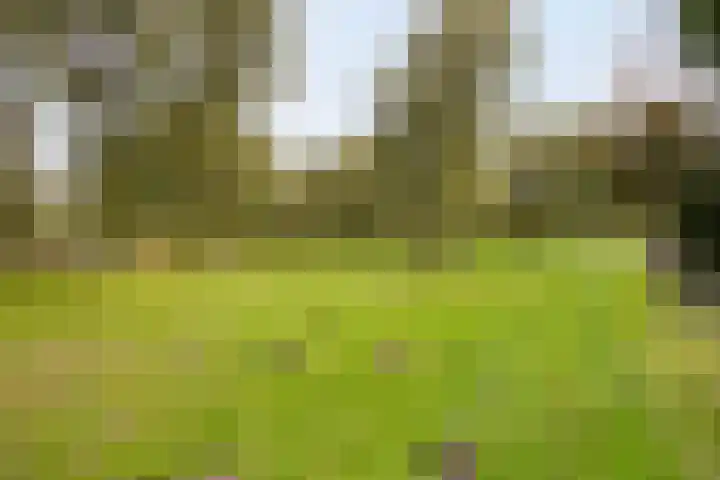 Kievit 5 Oostzaan thumbnail 49
