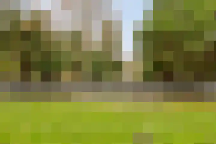 Kievit 5 Oostzaan thumbnail 50