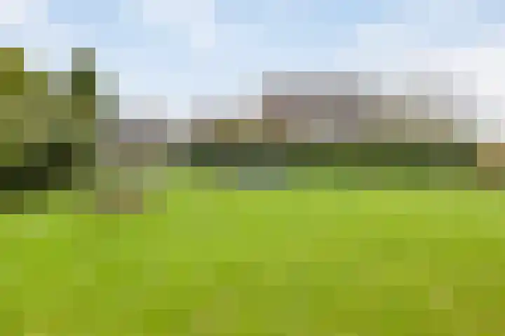 Kievit 5 Oostzaan thumbnail 51