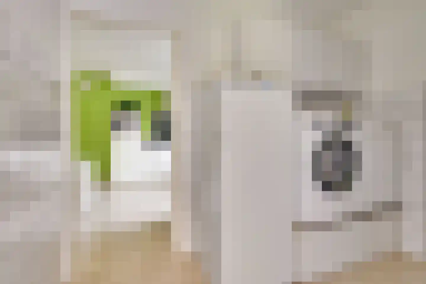 Kievit 5 Veldhoven thumbnail 17