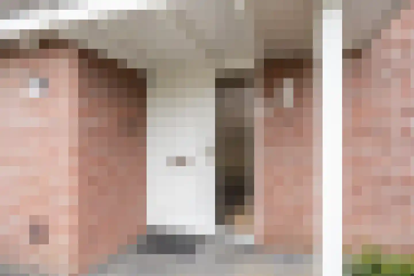 Kievit 5 Veldhoven thumbnail 4