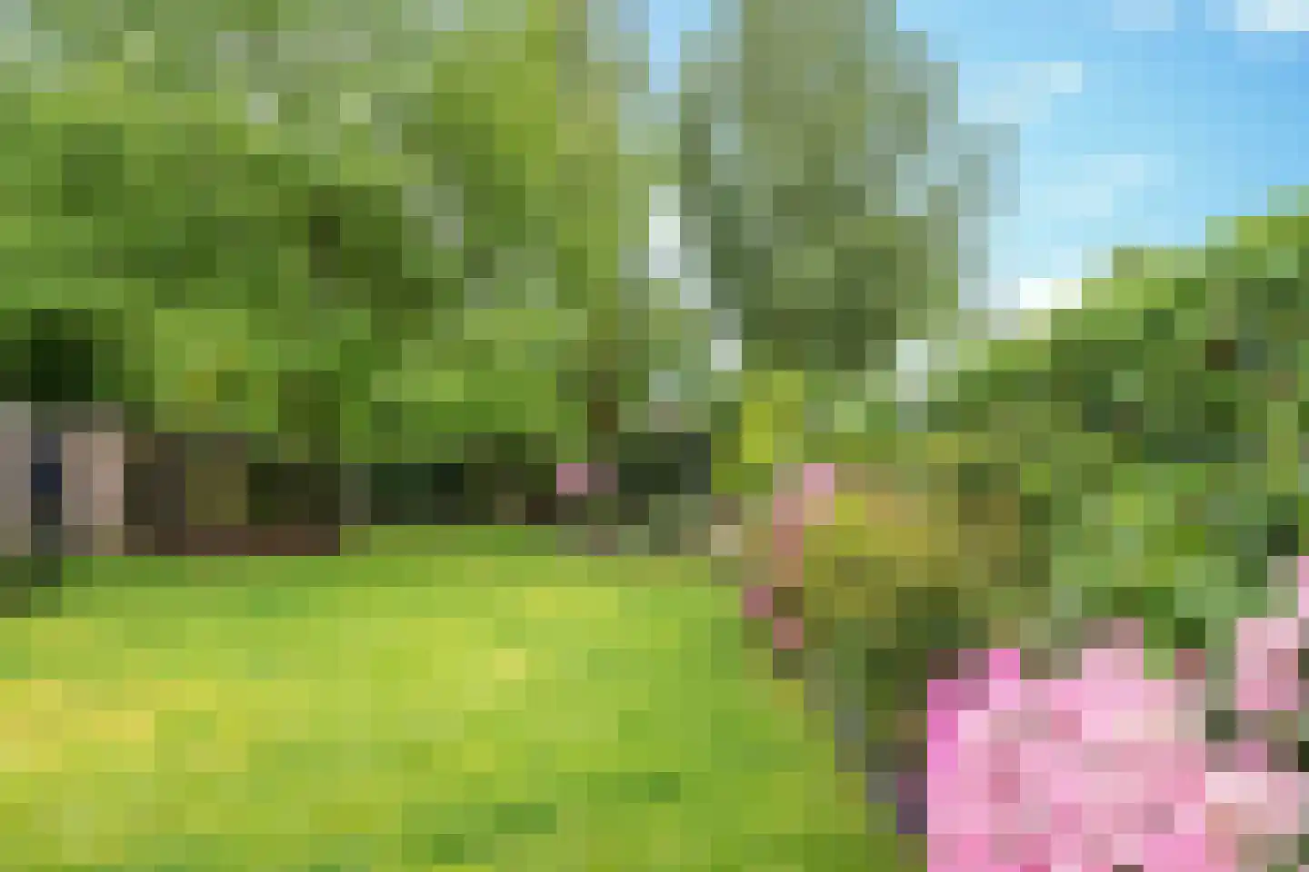 Kievit 5 Veldhoven thumbnail 42