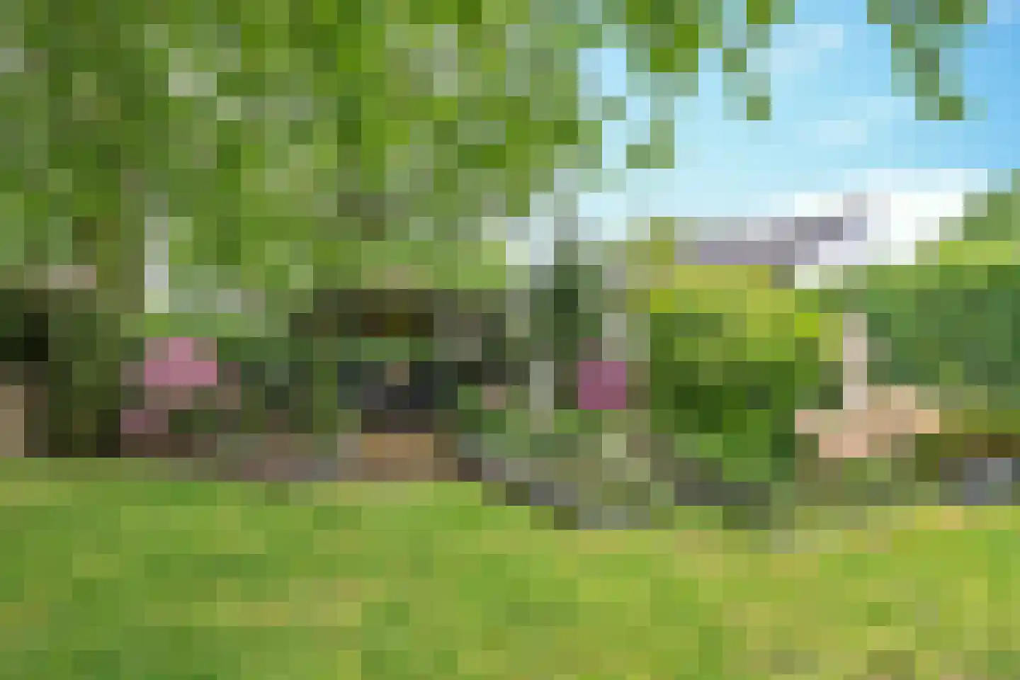 Kievit 5 Veldhoven thumbnail 44