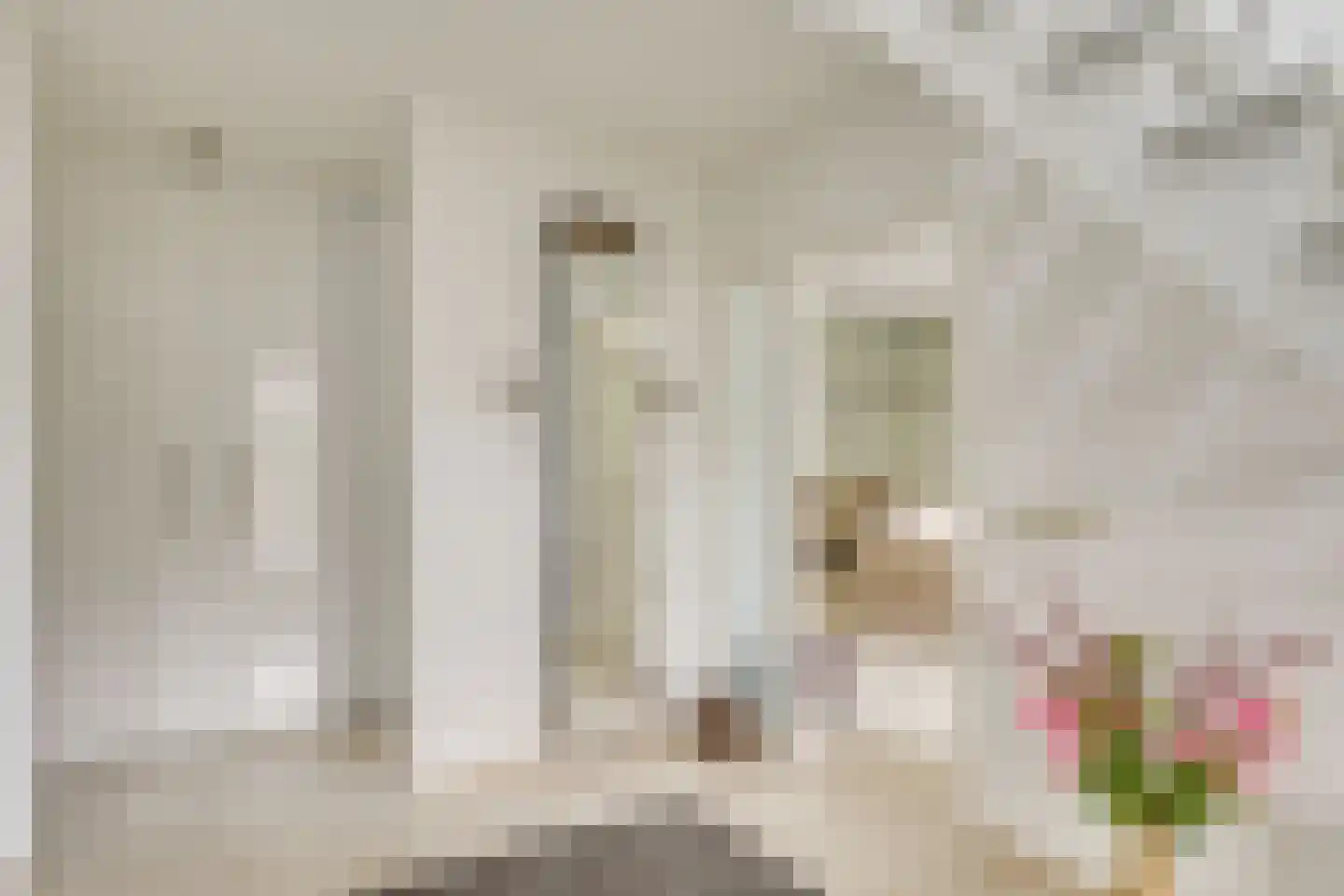 Kievit 5 Veldhoven thumbnail 6