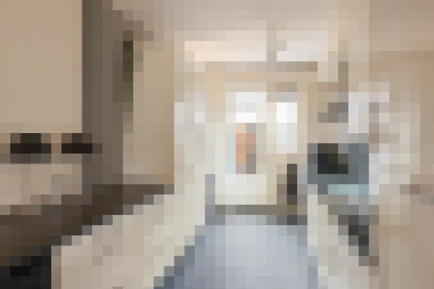 Kievit 51 Wijhe thumbnail 10