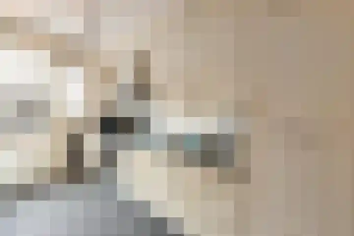 Kievit 51 Wijhe thumbnail 11