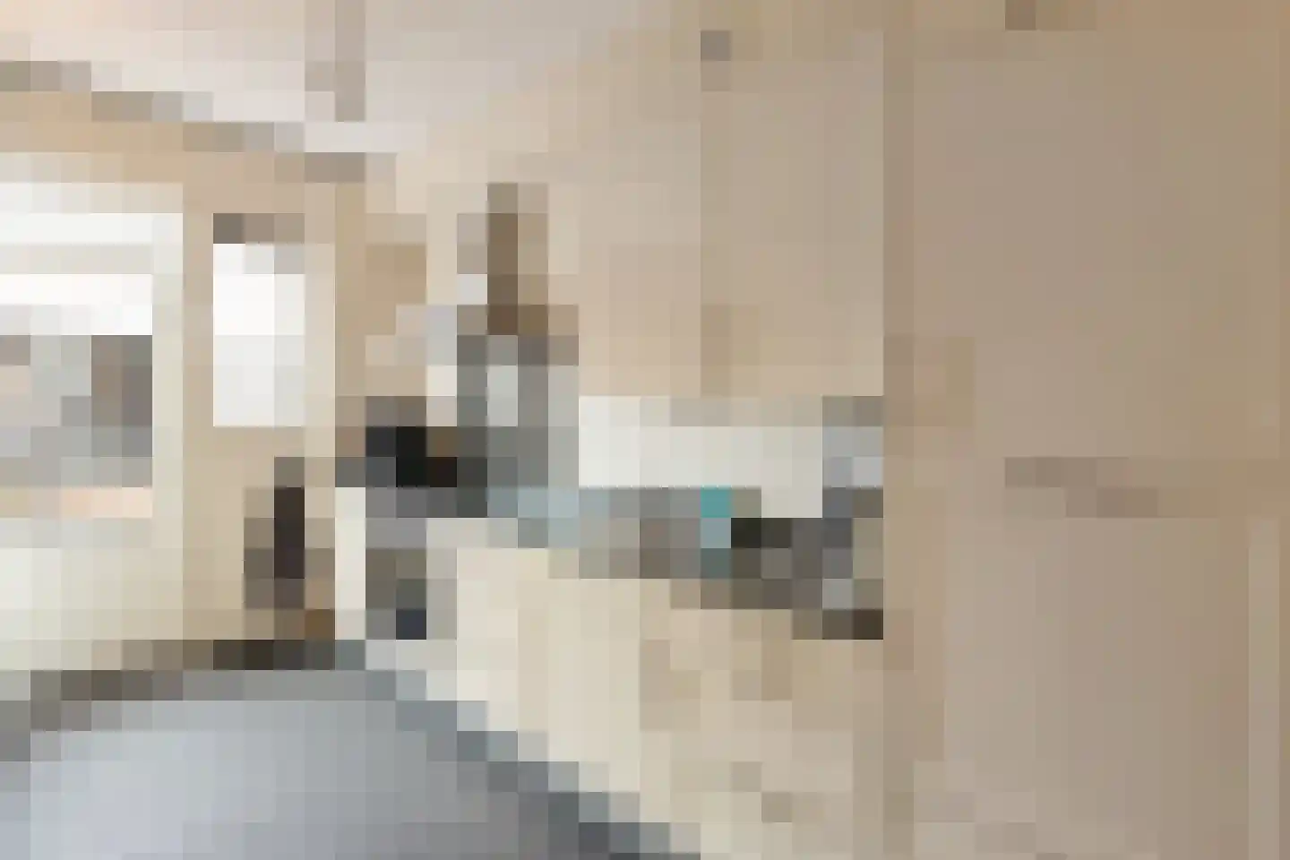 Kievit 51 Wijhe thumbnail 11