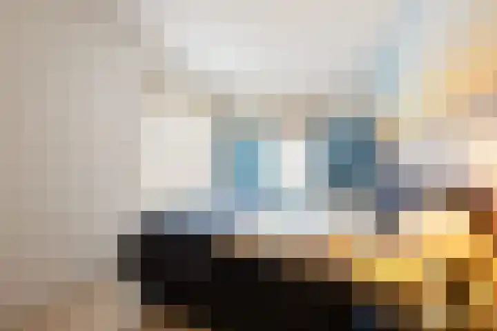 Kievit 51 Wijhe thumbnail 14