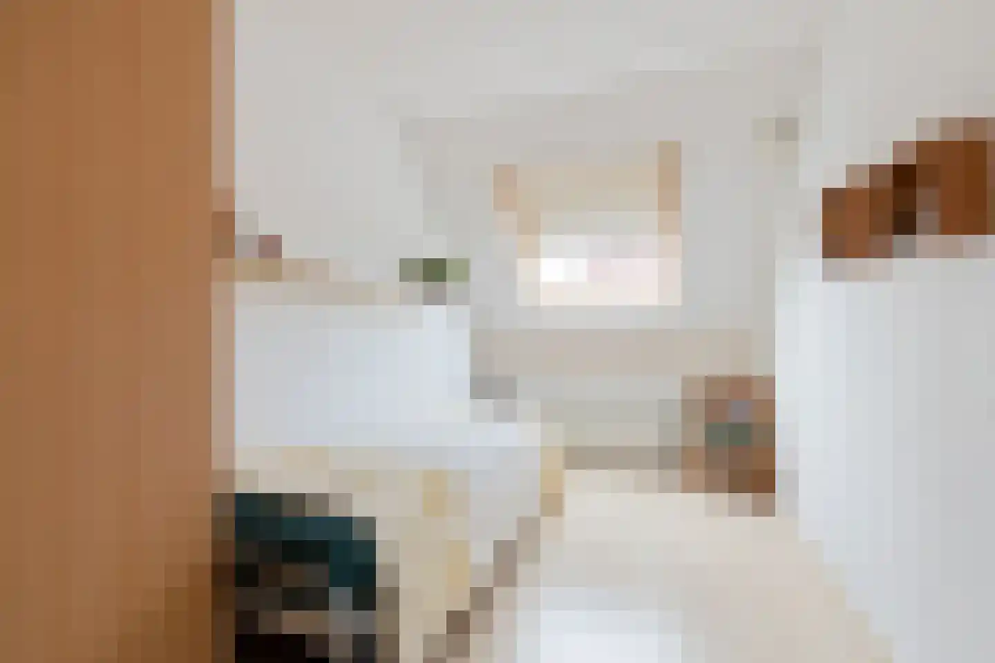 Kievit 51 Wijhe thumbnail 16