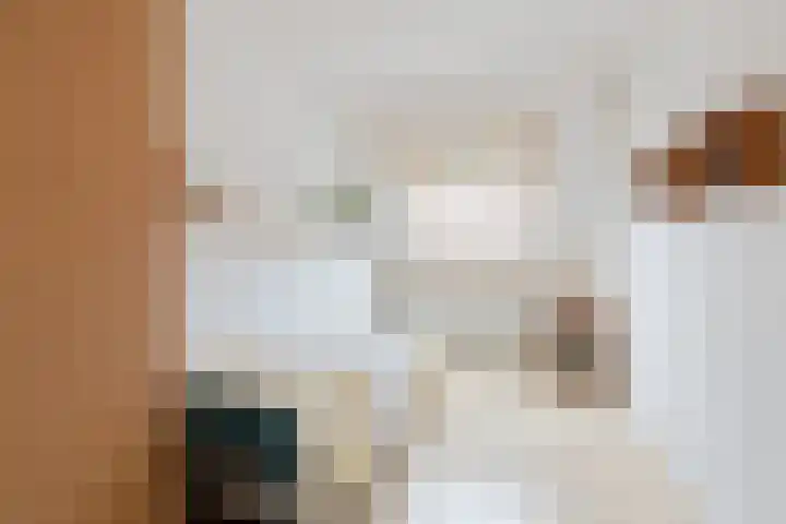 Kievit 51 Wijhe thumbnail 16