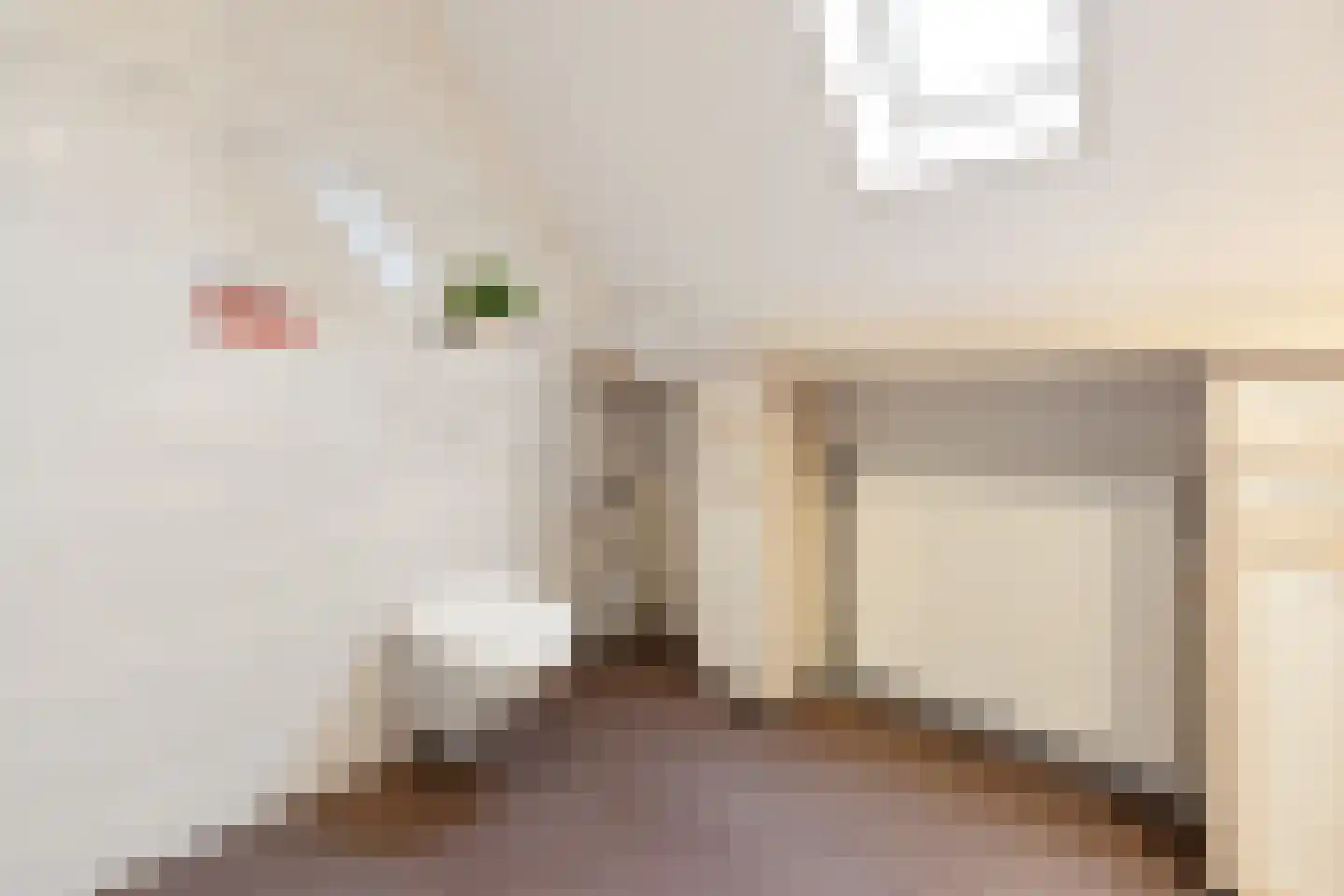 Kievit 51 Wijhe thumbnail 20