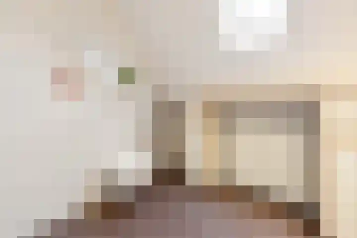 Kievit 51 Wijhe thumbnail 20