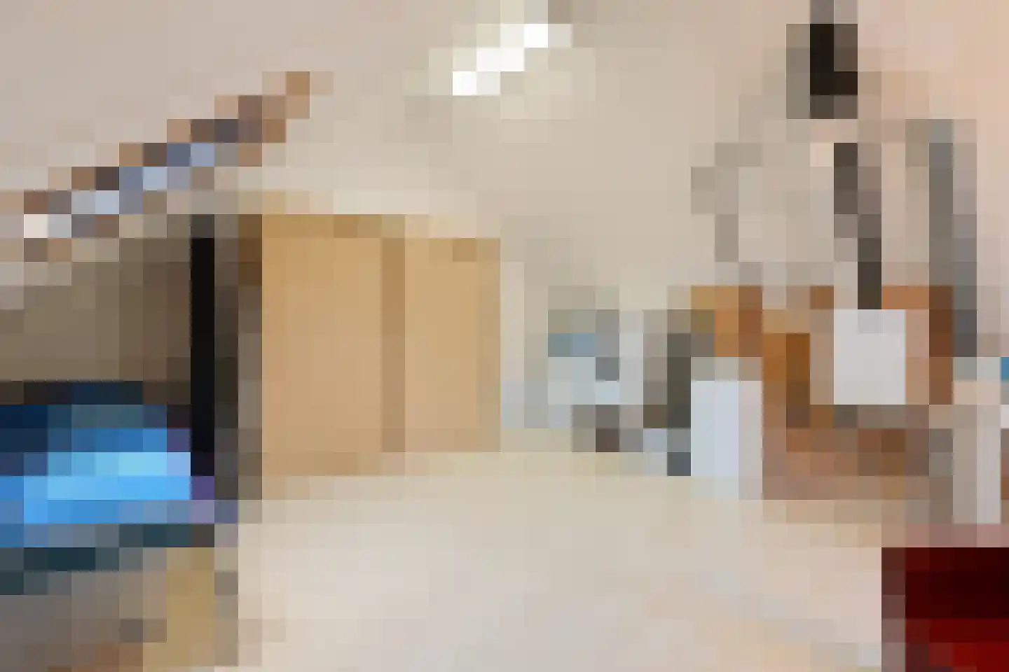 Kievit 51 Wijhe thumbnail 22