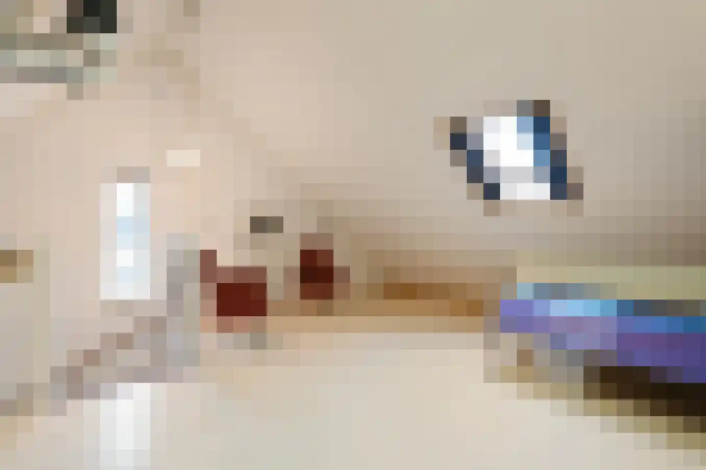 Kievit 51 Wijhe thumbnail 23