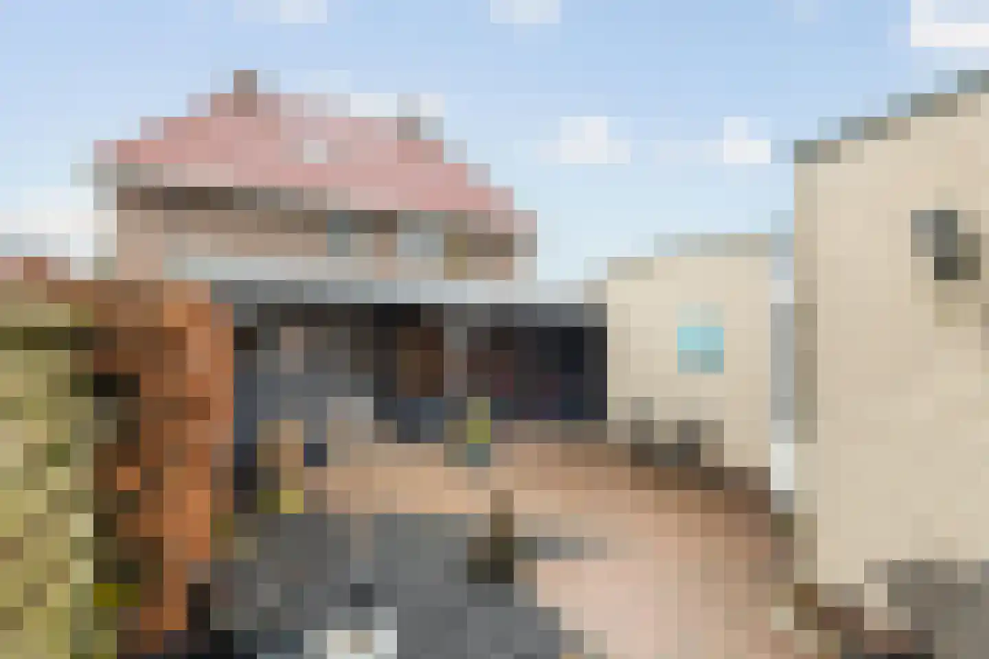 Kievit 51 Wijhe thumbnail 24