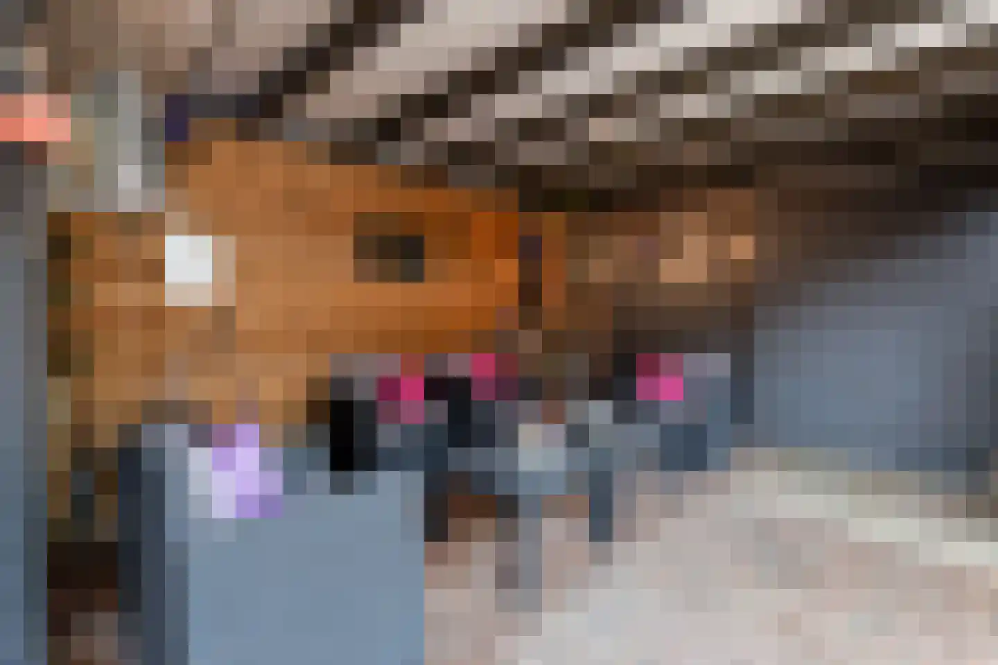 Kievit 51 Wijhe thumbnail 25