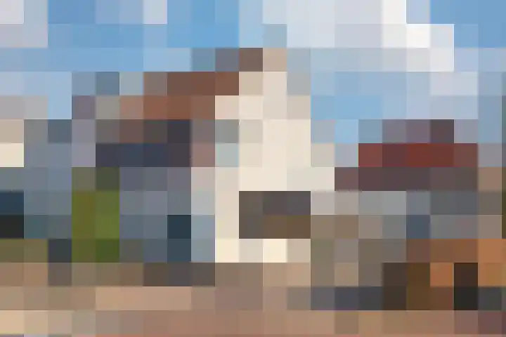 Kievit 51 Wijhe foto 3