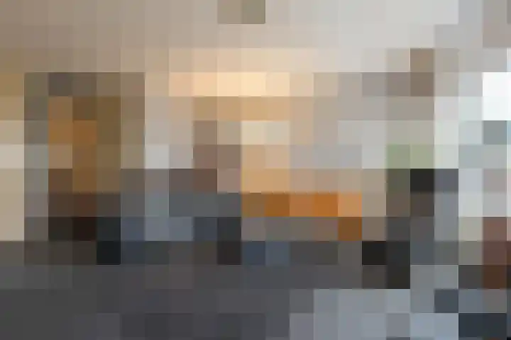 Kievit 51 Wijhe thumbnail 5