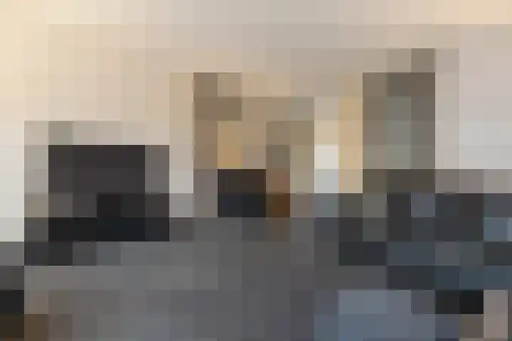 Kievit 51 Wijhe thumbnail 6