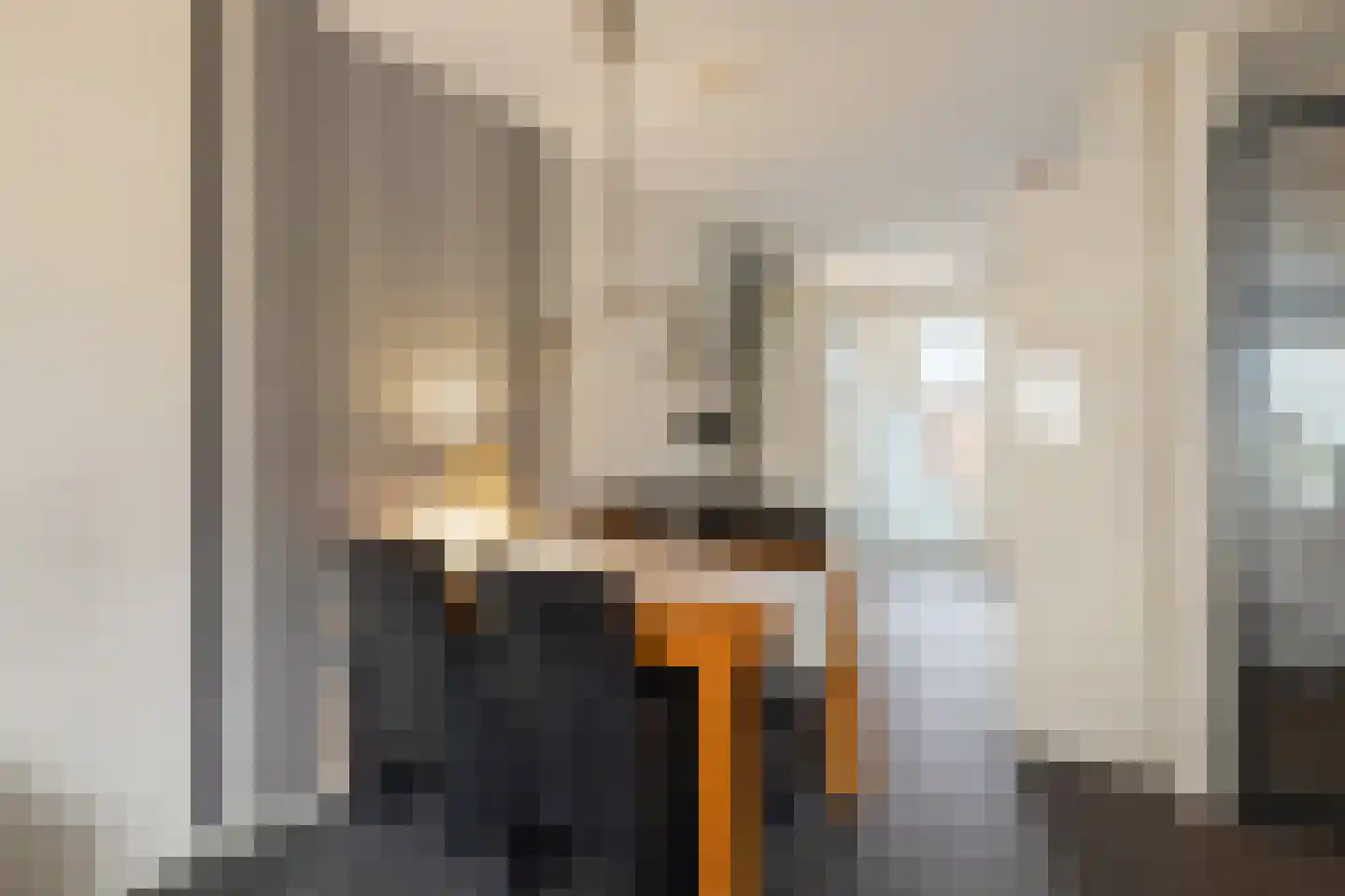 Kievit 51 Wijhe thumbnail 8