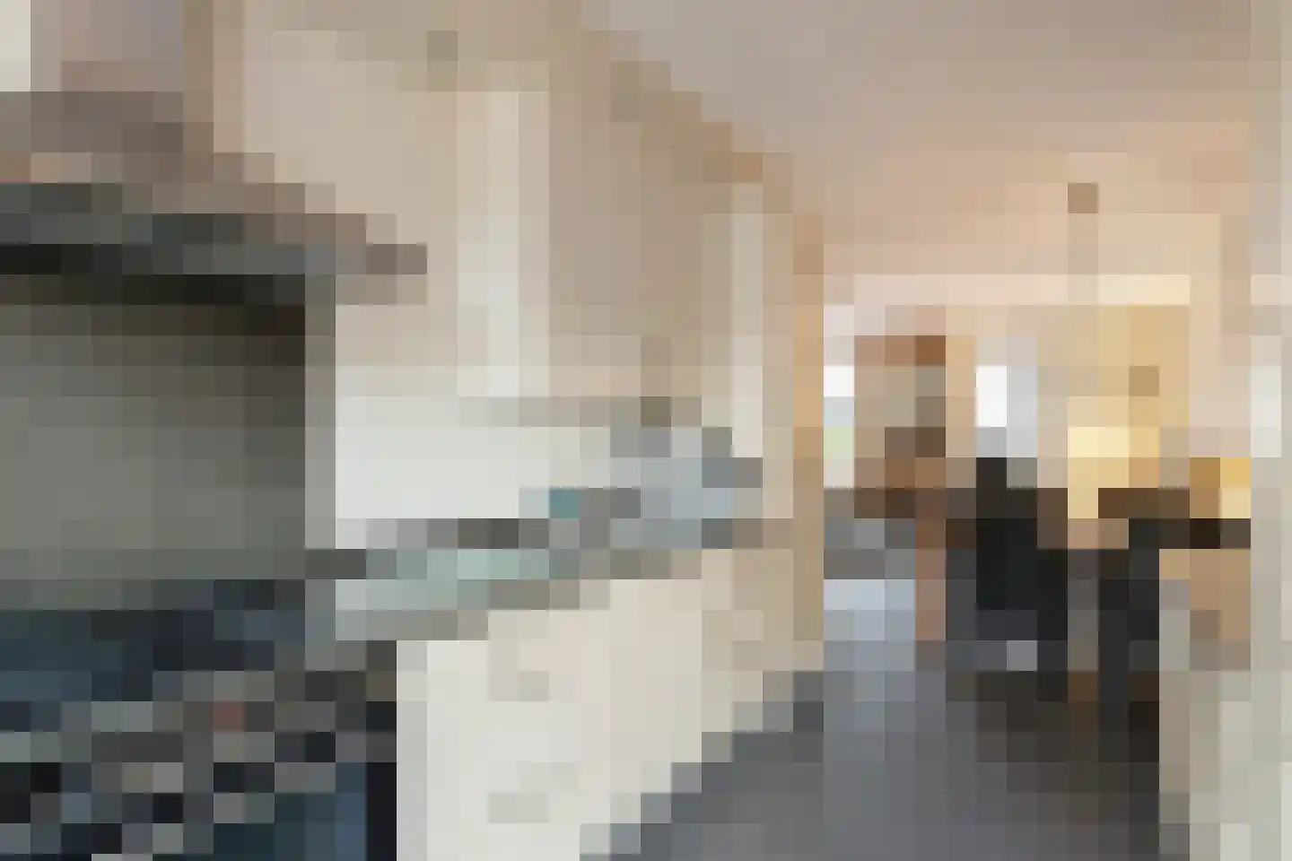 Kievit 51 Wijhe thumbnail 9
