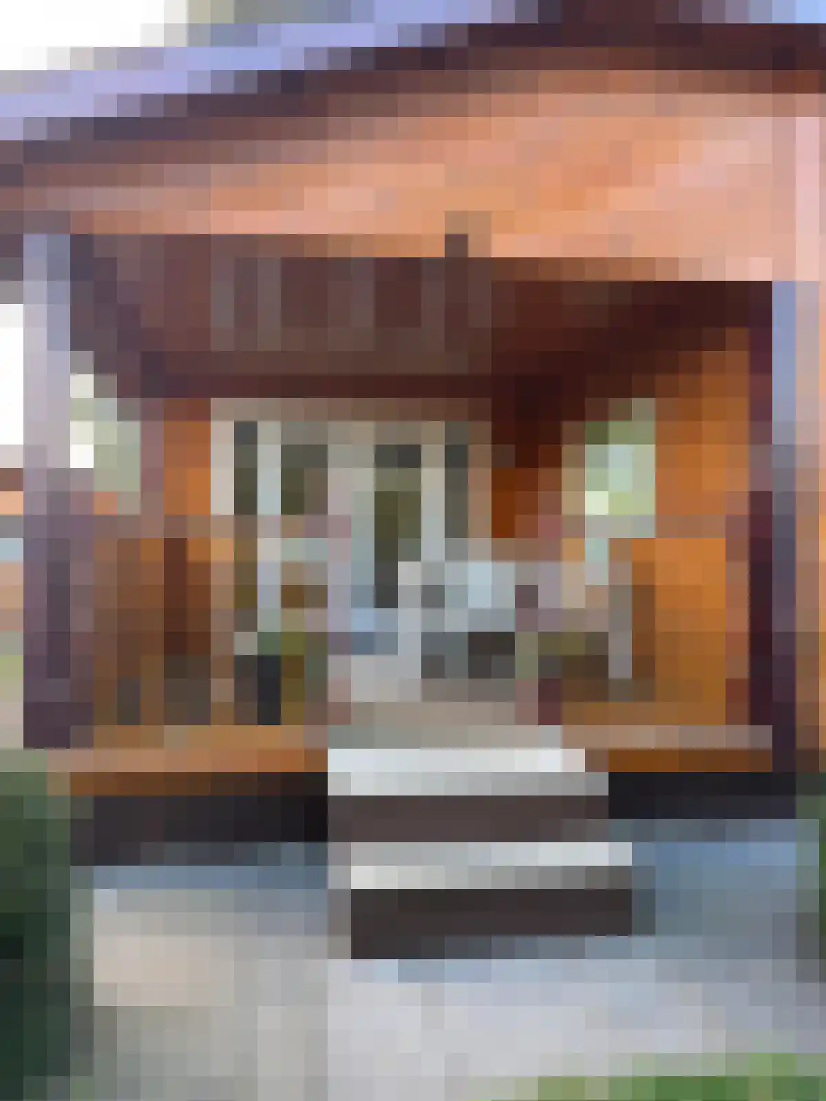 Kievit in Baarle-Nassau